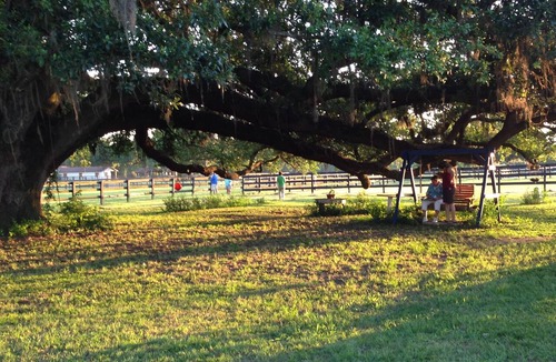 Fellowship Apartment | Pet friendly Large Apt on Horse Farm w/level 2 EV Charger.