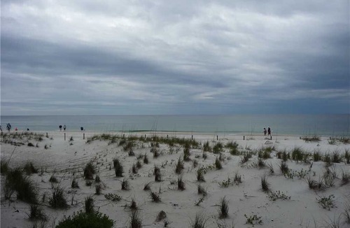 Sunnyside Condo | Pinnacle Port Vacation Rentals- C2 building, 2 bdr. 2 bath Gulf Front Ground Floor condo!