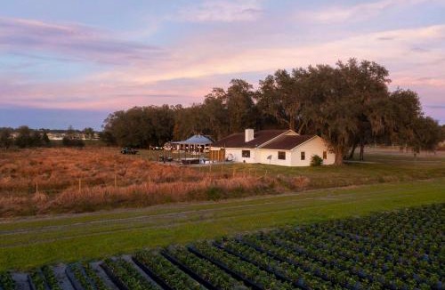 Plant City House | Plant City: Pool, Hot Tub & Guest House