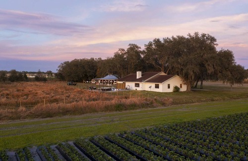 Plant City House | Plant City: Pool, Hot Tub & Guest House