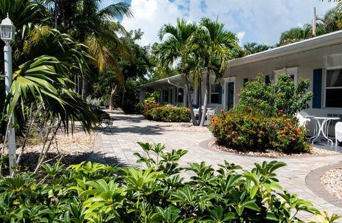 Marco Island Hotel | Poolside King Studio