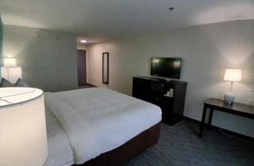 Houma Hotel | Quality Inn & Suites Houma