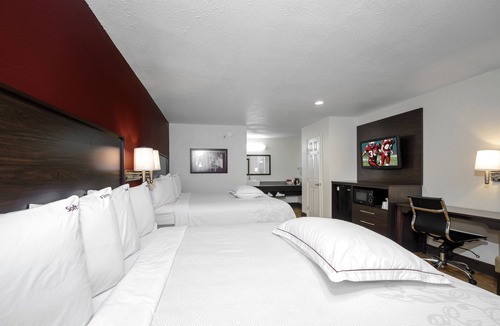Hammond Hotel | Red Roof Inn PLUS+ Hammond