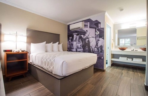 Ocala Hotel | Relaxing Stay in Florida! 2 Comfortable Units, Free Breakfast, Onsite Pool