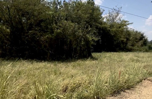 Crowville RV Rental | RV/Tent 18 acre campground site!