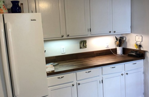 Davis Islands House | Summer Getaway CLOSE - UT, TGH, Downtown, Riverwalk, Channelside, Sparkman Wharf