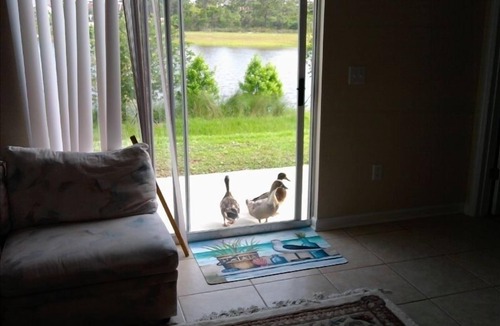 Panama City Beach House | Sunny Daze, Your Beach Home Away From Home