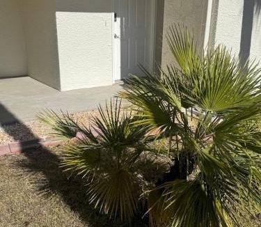 Navarre Beach Apartment | Sunset Harbor Palms 1-108