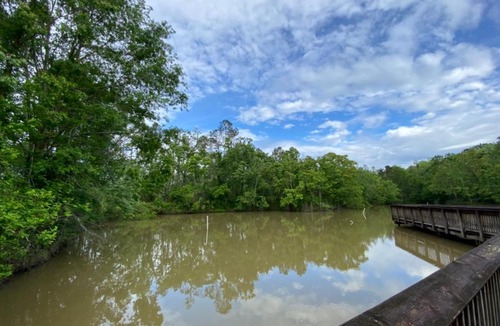 Springfield Other | Tentrr - Louisiana Tickfaw State Park - Woodland F - Single Camp