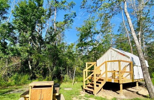 Springfield Other | Tentrr - Louisiana Tickfaw State Park - Woodland G - Single Camp
