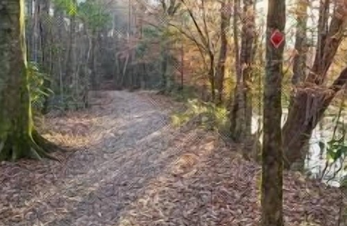 Talisheek RV Rental | Tentrr State Park Site - Louisiana Bogue Chitto State Park - Bike Trail K - Sing