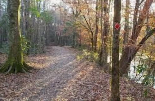 Talisheek RV Rental | Tentrr State Park Site - Louisiana Bogue Chitto State Park - Bike Trail L - Sing