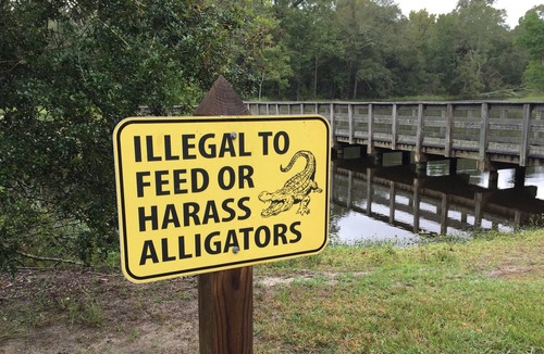 Mandeville RV Rental | Tentrr State Park Site - Louisiana Fontainebleau State Park - Pond View E - Sing