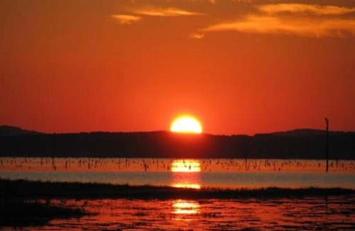 Zwolle Other | Tentrr State Park Site - Louisiana North Toledo Bend State Park - Lakeview A - Single Camp