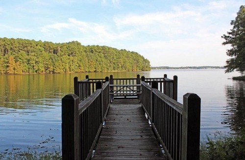 Zwolle Other | Tentrr State Park Site - Louisiana North Toledo Bend State Park - Lakeview D - Single Camp