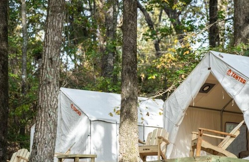 Morton RV Rental | Tentrr State Park Site - Mississippi Roosevelt State Park - Tall Trees H - Singl