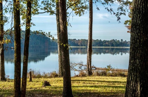 Morton Other | Tentrr State Park Site - Mississippi Roosevelt State Park - Tall Trees D - Single Camp