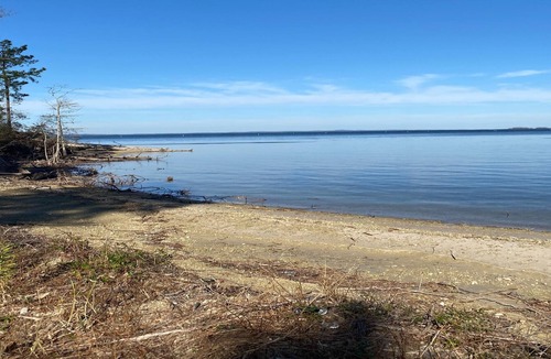 Anacoco RV Rental | Tentrr State Park Site - Louisiana South Toledo Bend State Park - Site B - Sing