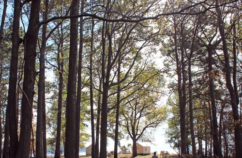 Anacoco RV Rental | Tentrr State Park Site - Louisiana South Toledo Bend State Park - Site C - Sing
