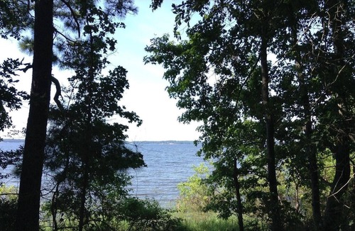 Anacoco RV Rental | Tentrr State Park Site - Louisiana South Toledo Bend State Park - Site E - Sing