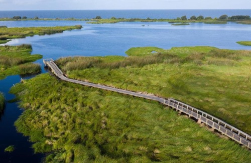 Mandeville Other | Tentrr State Park Site - Fontainebleau State Park Site C