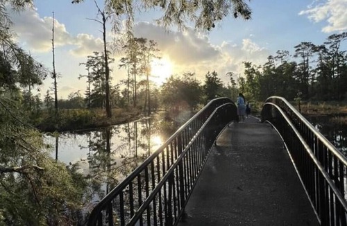 Lake Charles RV Rental | Tentrr State Park Site - Louisiana Sam Houston Jones State Park - Lagoon View D