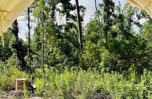 Lake Charles RV Rental | Tentrr State Park Site - Louisiana Sam Houston Jones State Park - Woodland J Dou