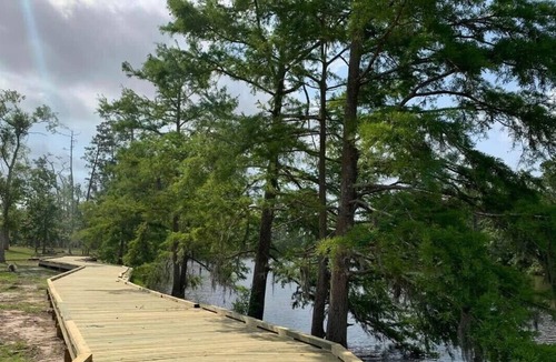 Lake Charles RV Rental | Tentrr State Park Site - Louisiana Sam Houston Jones State Park - Woodland J Dou