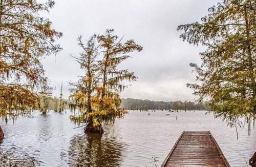 Saint Landry RV Rental | Tentrr State Park Site - Louisiana Chicot State Park - Site A - Single Camp