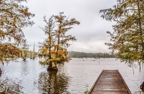 Saint Landry RV Rental | Tentrr State Park Site - Louisiana Chicot State Park - Site C - Double Camp