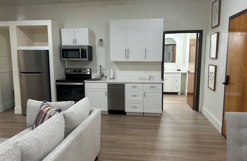Downtown Jackson Apartment | The 610 Flats: Ayla's Alley #21
