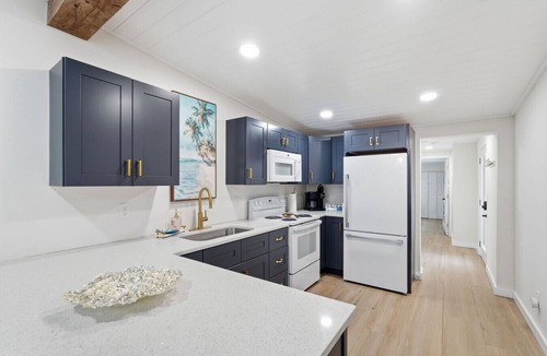 Weeki Wachee Gardens House | The Fancy Fin- Near Roger's Park and Main River, Waterslide, Kayaks, Gulf Access