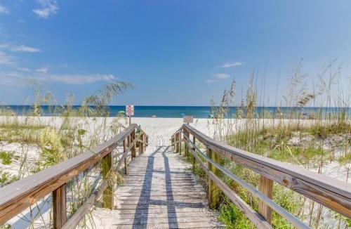 Treehouse House | The Treehouse On the Bay