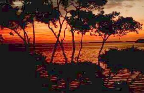 Tierra Verde Condo | TIERRA VERDE Luxury Condo Water FRONT - low summer rates - NORTH BEACH next door