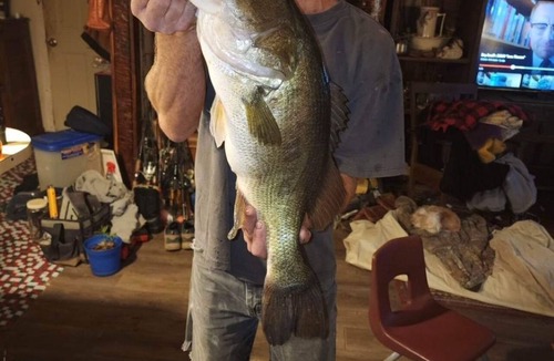 Hemphill House | Toledo Bend waterfront Great for family vacation, fishermen or hunter's.