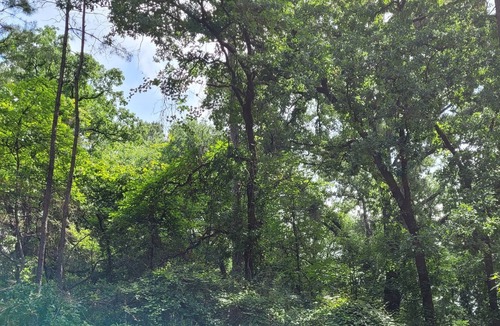 Holly Lake Ranch Cabin | @TrailsEdgeTX Trendy Cabin on 2 Acre Wooded Lot