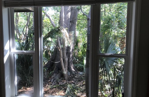Historic Downtown Apalachicola House | Unique House in wooded lot. This is a WOW! Nothing like it!