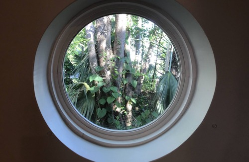 Historic Downtown Apalachicola House | Unique House in wooded lot. This is a WOW! Nothing like it!