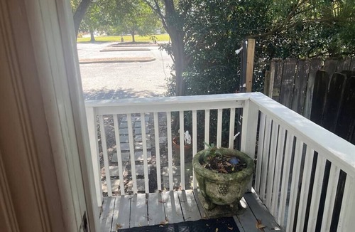 Downtown Apartment | Walk to Palafox Restaurants, Markets and Events!