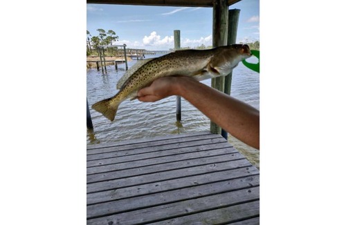 Cape San Blas RV Rental | Waterfront RV Site with Dock