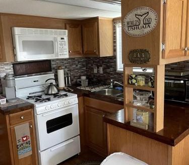 Salt Springs House | Wonderful Cottage Overlooking the Lake with Porch in Florida
