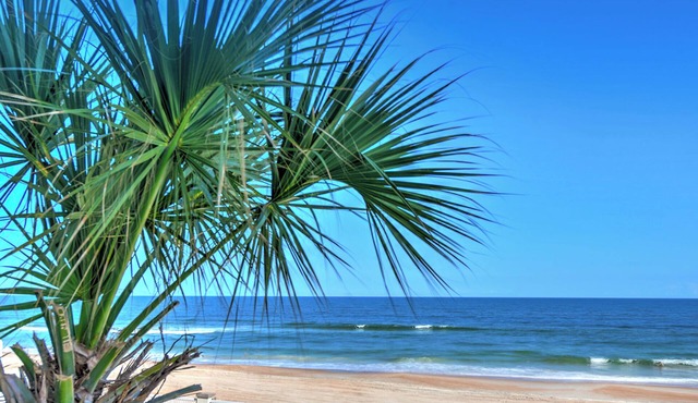 1BR Oceanfront Condo Private Balcony Sleeps 6