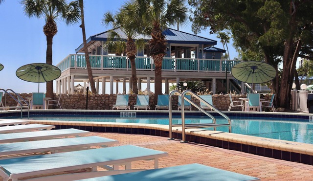 2 Modern Retreat Near Maximo Park & Downtown Dining Scene | Fort De Soto Nearby