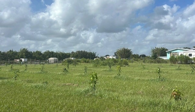 4-bedroom 5 acres lake cottage home in quaint Zolfo Springs with AC & Internet