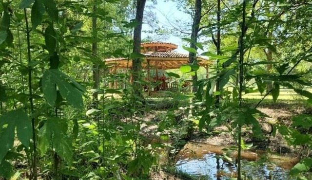 618 Large 3 Bedroom Estate Pool