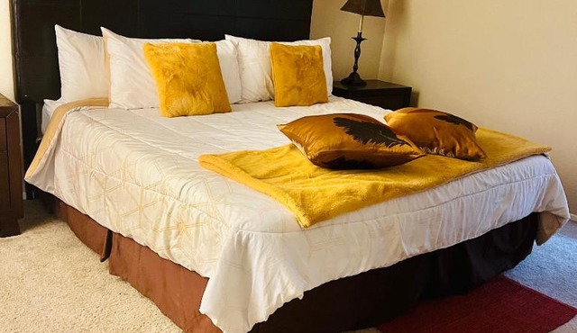 A Laid Back 2 BR 2 BT Patio Near NRG Arena Theatre Medical Center Rental Car Available