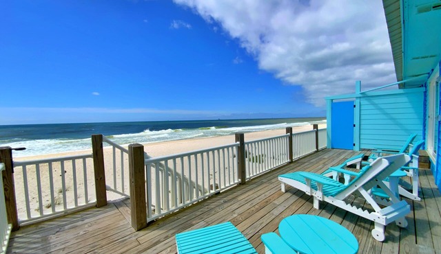 Beachfront & Dog Friendly!