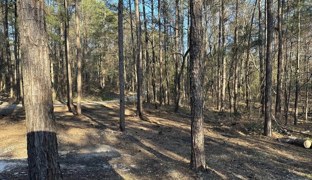 Beautiful cabin within two miles of Lake Martin