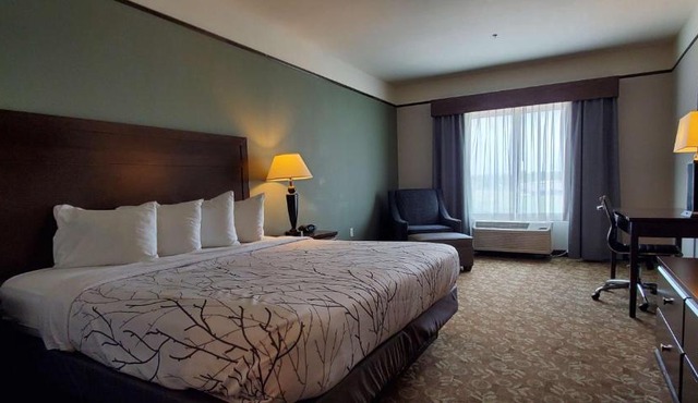 Best Western Plus Emory at Lake Fork Inn & Suites