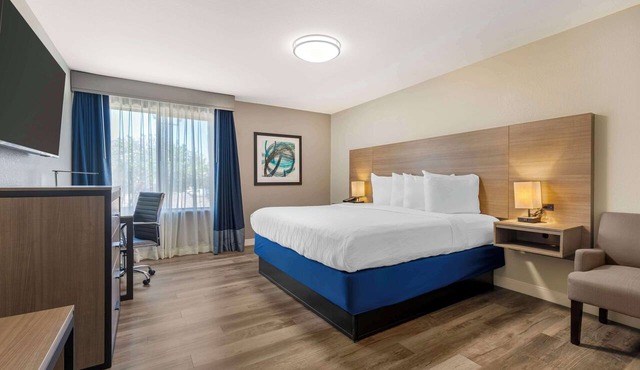 Best Western Plus Lewisville Flower Mound